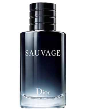 عطر ادکلن دیور ساواج دیور ساوج | Dior Sauvag