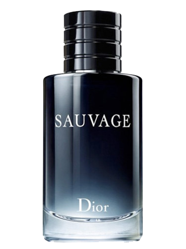 عطر ادکلن دیور ساواج دیور ساوج | Dior Sauvag